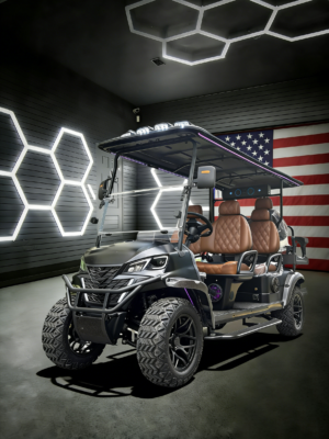 4+2 seats black golf cart