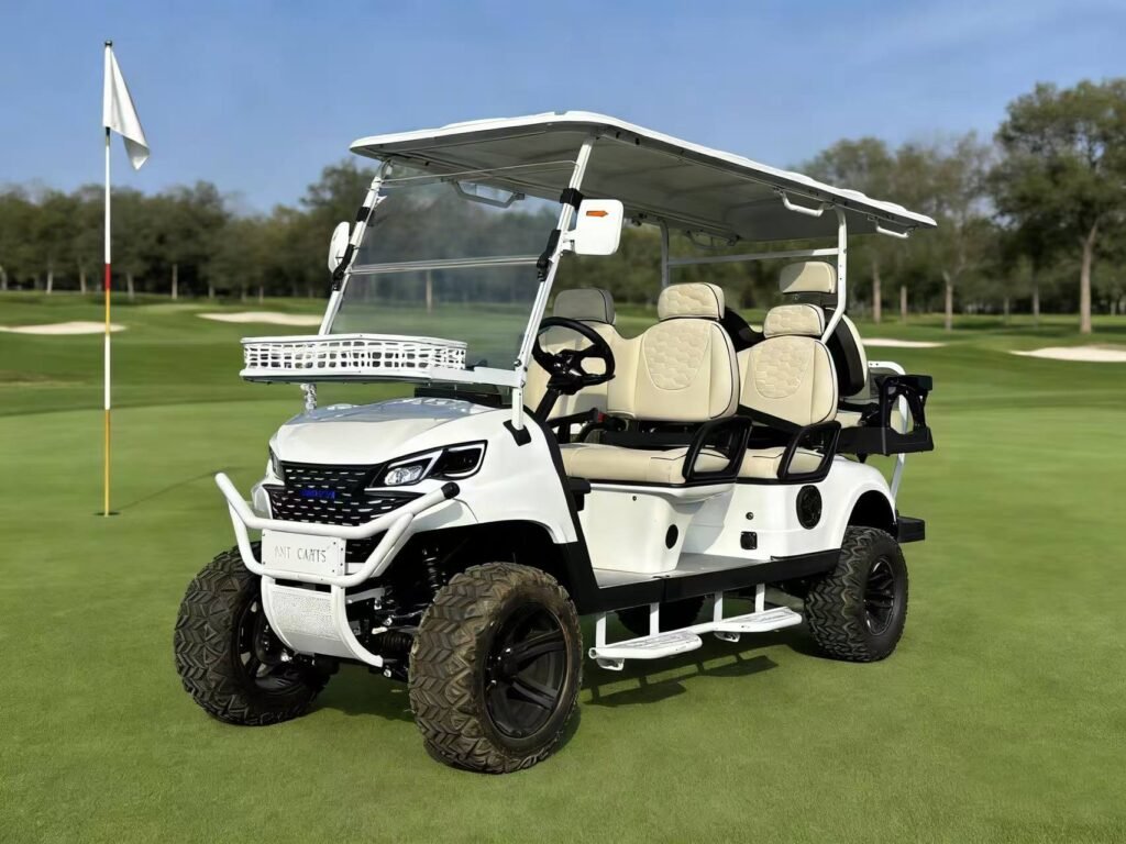 You Spent $100K on a Custom Golf Cart — Don’t Let Ignorance Destroy Its Value | ANT CARTusa Luxury Care Guide 微信图片 20260316091752 864 22
